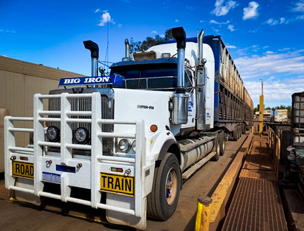 Public Weighbridge - Cattle Truck Weighing